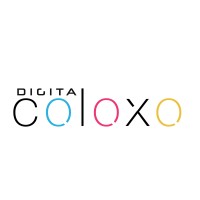 Digital Coloxo logo - Similar company to Web X Founders Llc