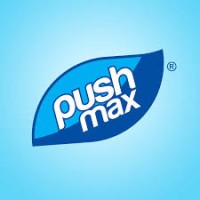 PUSHMAX JOINT STOCK COMPANY (official) logo - Similar company to Vndirect