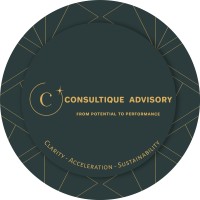 Consultique Advisory logo - Similar company to Colloquial
