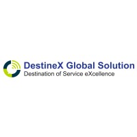 DestineX Global Solution logo - Similar company to Hoba Tech | Business-𝘭𝘦𝘥 Digital Transformation