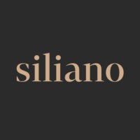 Siliano AG logo - Similar company to Aln Group