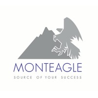 Monteagle Group logo - Similar company to The Winterbrook Group