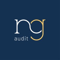NG Audit logo - Similar company to Riomeca