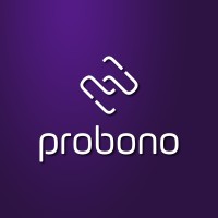 Probono logo - Similar company to The Fourth Chakra
