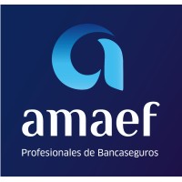 ASOCIACION DE LA MEDIACION ASEGURADORA DE ENTIDADES FINANCIERAS - AMAEF - logo - Similar company to Idea Hogar Electrodomesticos Sl