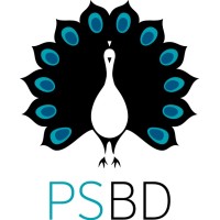 Pugsley Sidwell Business Development logo - Similar company to Psm The Professionals