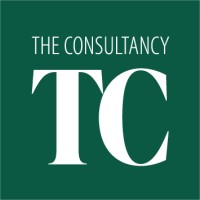 The Consultancy logo - Similar company to Nefli Digital Llc