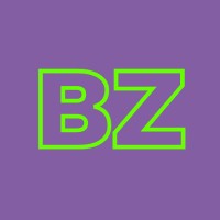 Blazing Zebra logo - Similar company to Proposal Writing Consultants, Llc
