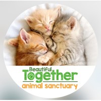 BEAUTIFUL TOGETHER logo - Similar company to Wag Rwanda