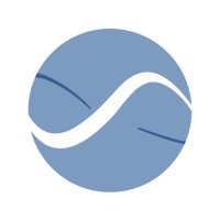 ABSOLUT Strategy Consulting logo - Similar company to Pool Informático | Grupo Iunis