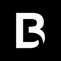 Bravenex logo - Similar company to Blockskills