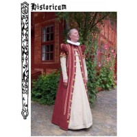 Historicum logo - Similar company to Aniso