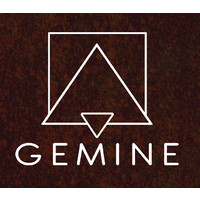 GEMINE logo - Similar company to Luphonix Technologies