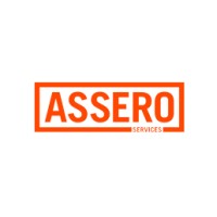 Assero Service, LLC logo - Similar company to Visneta