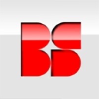 BS Ingenieure logo - Similar company to Teejit - Driving Tourism Evolution