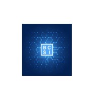 BCSI - BlockChain Strategies & Innovations