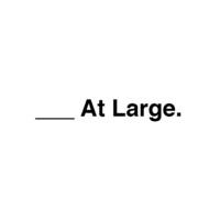 ___ At Large. logo - Similar company to Spring Lake Day Camp