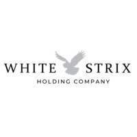 White Strix logo - Similar company to Oscar Mike Solutions
