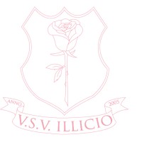 V.S.V. Illicio logo - Similar company to O´Bosso E.V.