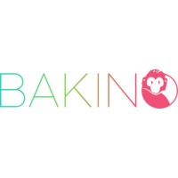 Bakino logo - Similar company to Picodev