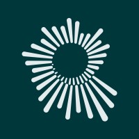 Generate Zero logo - Similar company to Data Insight