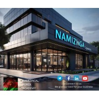 Namizinga Forex Academy logo - Similar company to Beztforex