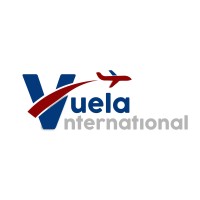Vuelos Ejecutivos y Logística Aérea logo - Similar company to Soulspring Mexico