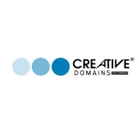 Creative Domains (Pvt) Limited logo - Similar company to Skyecap