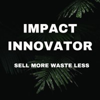 The Impact Innovator logo - Similar company to The King'S Trust