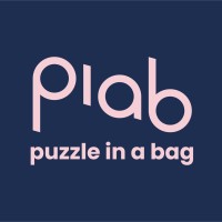 Puzzle in a Bag logo - Similar company to Stichting Doessouf
