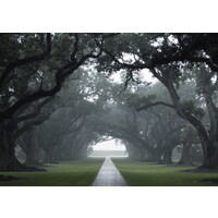 Long Oak Associates, Llc