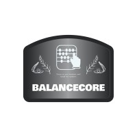 BalanceCore logo - Similar company to Itera Ukraine