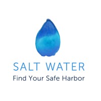 Salt Water logo - Similar company to Ontarget Consulting, Inc.