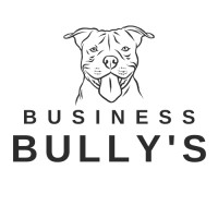 Business Bully's Bookkeeping logo - Similar company to Loop King Laces