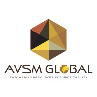 AVSM GLOBAL logo - Similar company to Shezer Decor