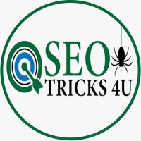 SEO Tricks 4U logo - Similar company to Digital Aroma | Digital Marketing Services - Seo | Google Adwords | Social Media | Website Designing