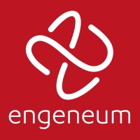 Engeneum Limited logo - Similar company to Ivgstores
