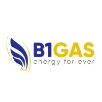 B1 Gas logo - Similar company to Enerfin Spa