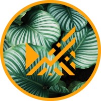 Miteri logo - Similar company to Upstream