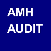 AMH Audit cjsc logo - Similar company to T Asset Management