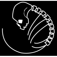 Spineless Studios