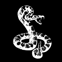 Rattlesnake Films logo - Similar company to Gcgroup Ag