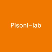 Pisoni-lab logo - Similar company to Lumineth