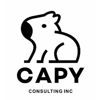 CAPY Consulting Inc. logo - Similar company to Capy Tech Solutions
