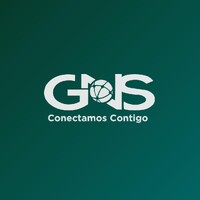 GNS México logo - Similar company to Bevara