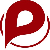 Pepsa.co logo - Similar company to Otapay