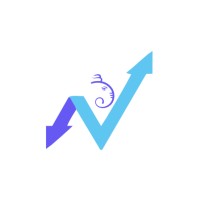 VNH Infotech logo - Similar company to Webential Ltd