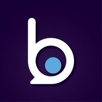 Bitzburg Business Solutions Pvt. Ltd. logo - Similar company to K-Rays Infotech