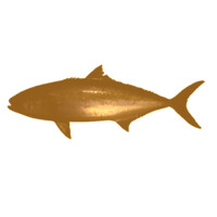 Aquatic Partners AG logo - Similar company to Equitas Partners