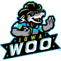 Iowa Woo logo - Similar company to Anavon Technology Group